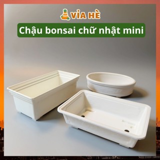 Chậu nhựa mini dài hình chữ nhật trồng sen đá tiểu cảnh, chậu trồng xương rồng bonsai, Vỉa Hè Garden