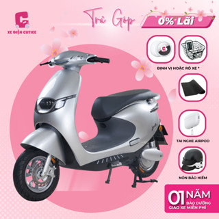 Xe điện TAILG R53 - Có đăng kiểm chứng từ