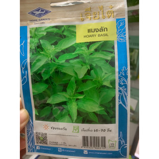 hạt giống lá é trắng nhập khẩu thái lan