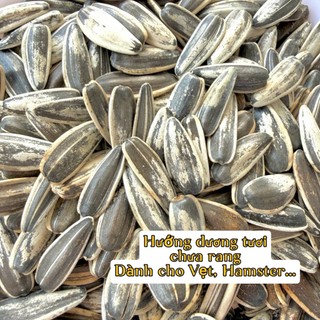  1kg Hạt Hướng Dương Lớn Tươi Chưa Rang Cho Vẹt Hamster Thú Cưng Sống Chất Lượng Cao 