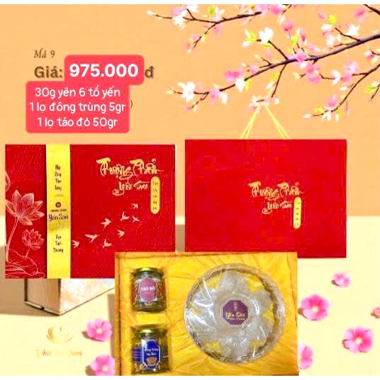 Hôp qua Tổ yến sào tinh chế  cao cấp loại 1 ( yến + táo đỏ + đôn trùng)