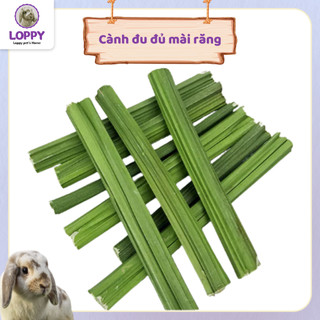 Cành táo/mía tre ngọt/ cành đu đủ mài răng - đồ chơi dành cho thỏ/chuột/sóc/chinchilla