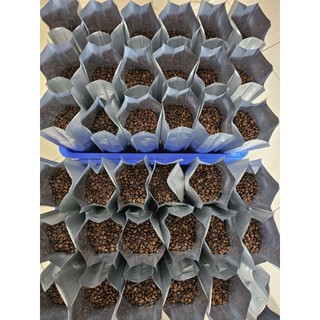 1kg Cà phê Robusta MỘC Buôn Mê Thuột MS12 [ĐẬM ĐÀ, KHÔNG CHUA]