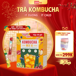  Trà Kombucha Gói Không Calo Nước Detox Giảm Cân Không Đường Dạng Gói Tiện Lợi Bản F&B 