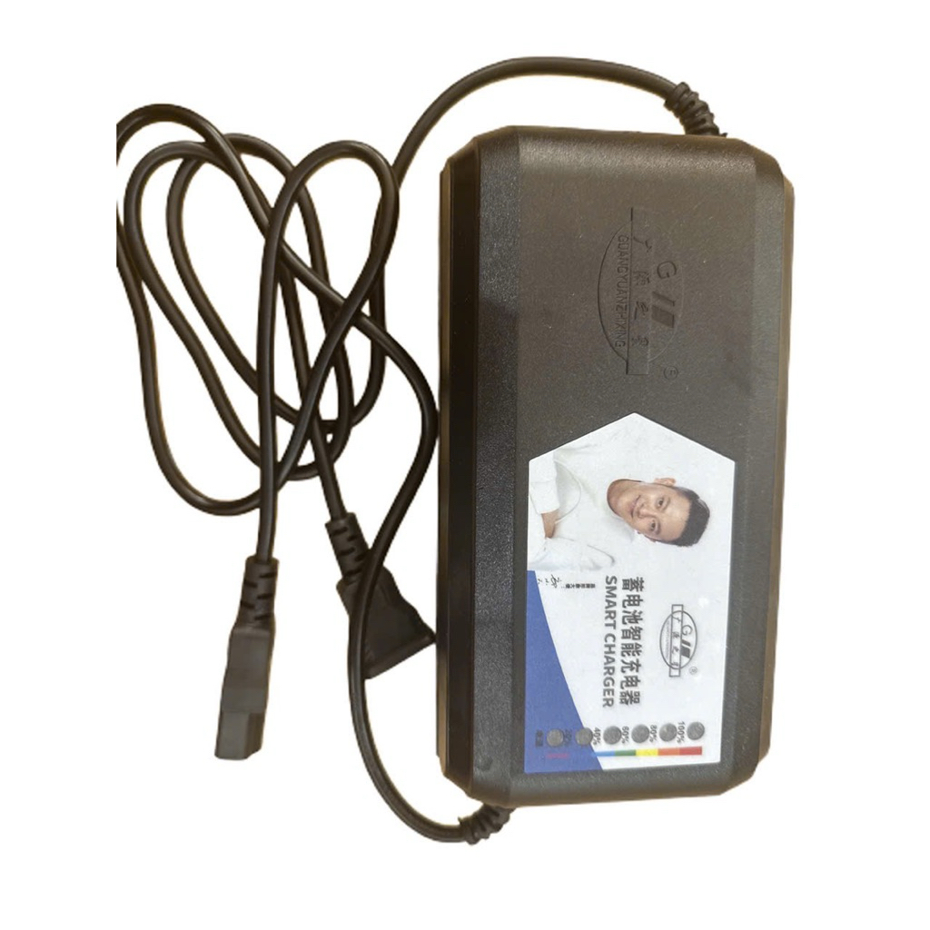 Sạc ắc quy xe điện 48V-20AH báo phần trăm Pin