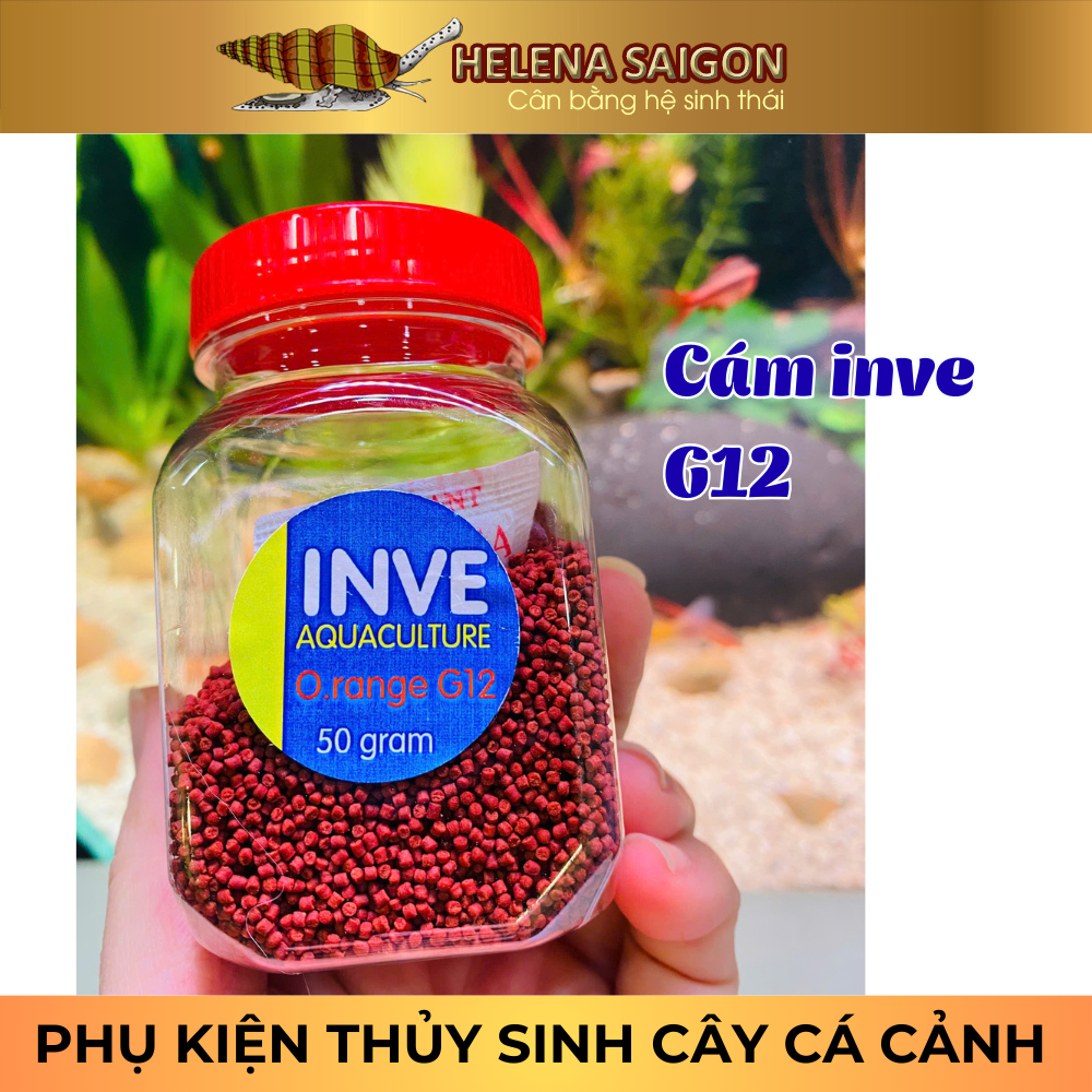 [Hũ 50g] Cám Inve Thái G12 - Thức Ăn Cá Cảnh Giàu Đạm, Thơm, Không Đục Nước (Guppy, Betta, Tetra)