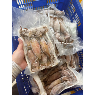 Mực hấp thuyền nghệ an 1kg (giao tphcm)