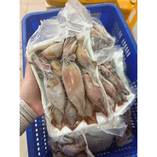 Mực hấp thuyền nghệ an 1kg (giao tphcm)