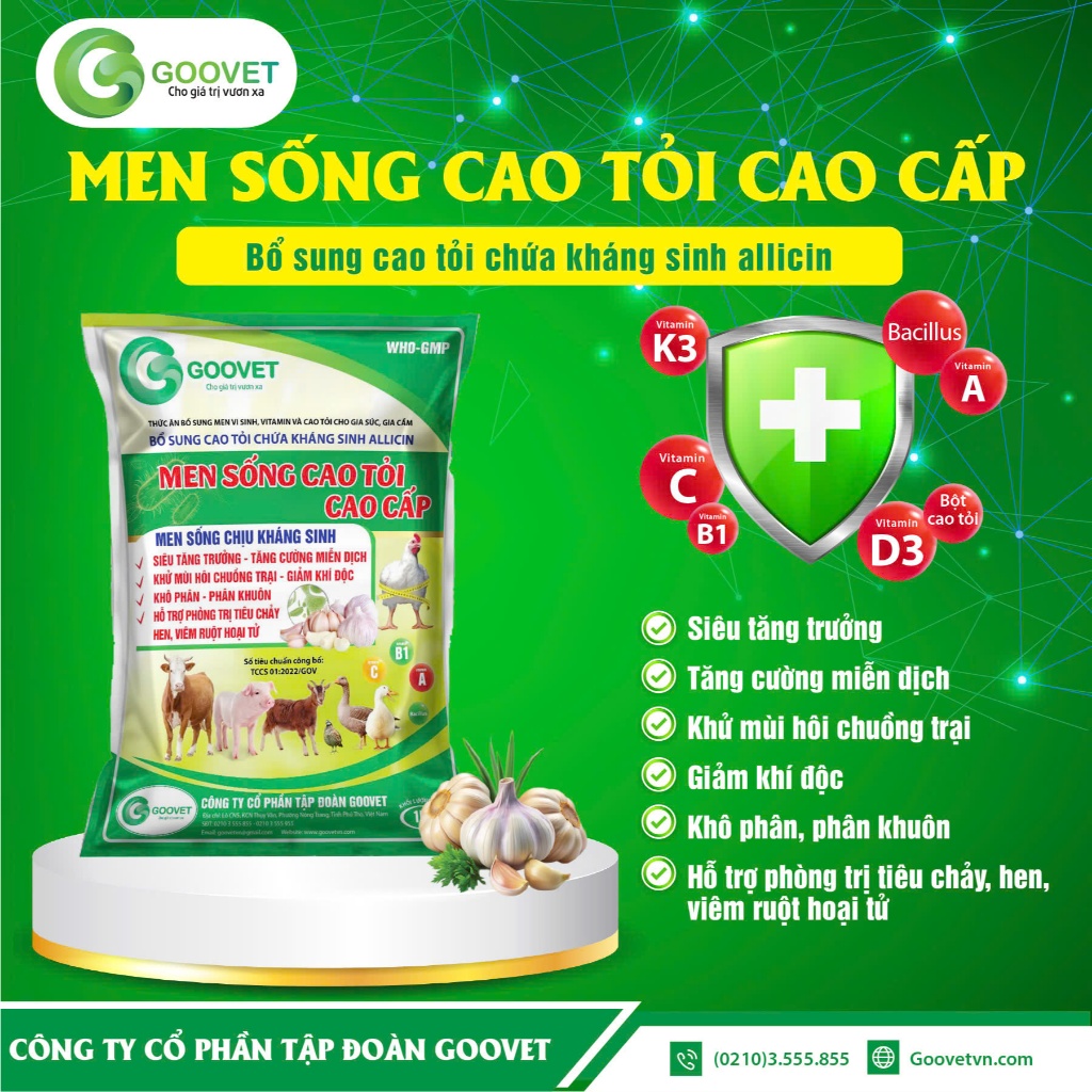 MEN SỐNG CAO TỎI CAO CẤP 1KG - GOOVET - Thức ăn bổ sung men vi sinh, vitamin và cao tỏi cho gia súc,