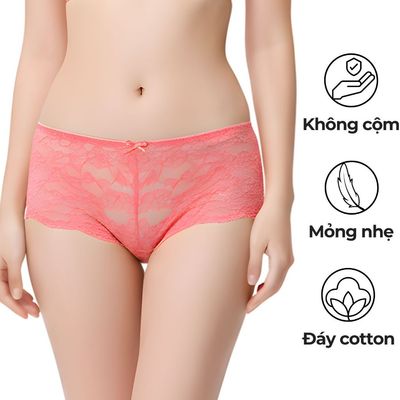 Quần lót nữ WANNABE quần chíp ren Nhật mềm mại ôm dáng quyến rũ không hằn mông suốt cả ngày QLR09