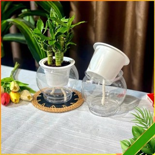 Bình Nhựa Tròn Trong Suốt Chuyên Dùng Trồng Cây Thủy Sinh, Thủy Canh, Bình Nuôi Cá Để Bàn - Bình Trồng Gừng