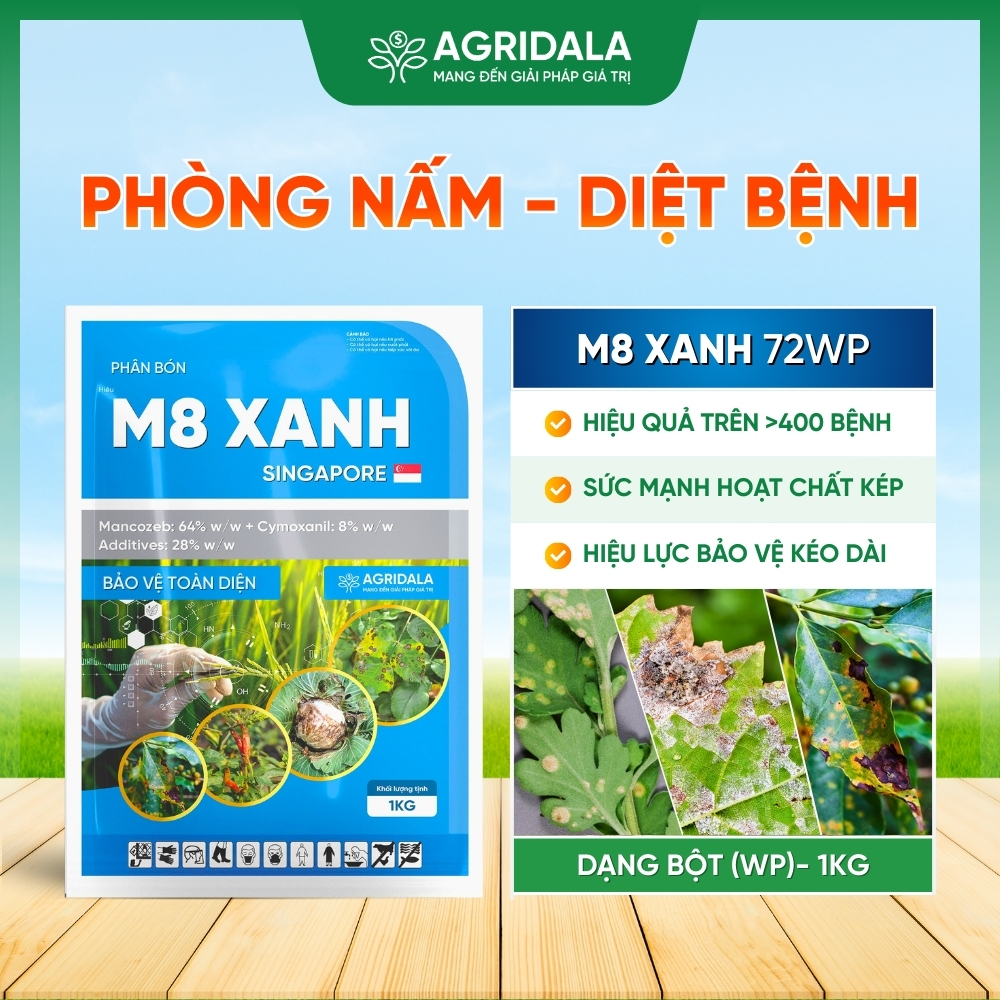 Trừ bệnh M8 XANH SINGAPORE (Bột Xanh) - Sức Mạnh Kép - Sạch Thán Thư, Đốm Lá, Mốc Sương, Nấm Cóc,...
