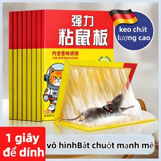 Keo Dính Chuột Siêu Dính, Keo Bẫy Chuột, Mồi nhử chuột hiệu quả, miếng dán chuột siêu dính| Miếng keo dán chuột
