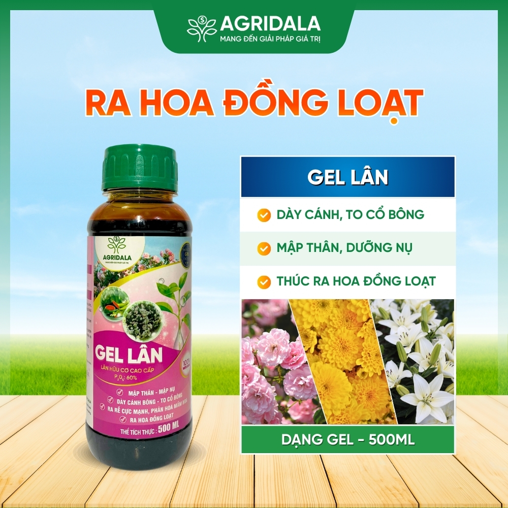 Phân bón GEL LÂN Chai 500ML - Kích Thích Phân Hóa Mầm Hoa, Trổ Đều, Mập Nụ, To Cổ Bông, Kích Ra Rễ