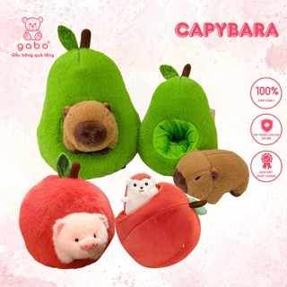 Gấu Bông Capybara trong Quả Bơ heo nhím trong quả táo đồ chơi nhồi bông Hàng QC lông mịn cao cấp 