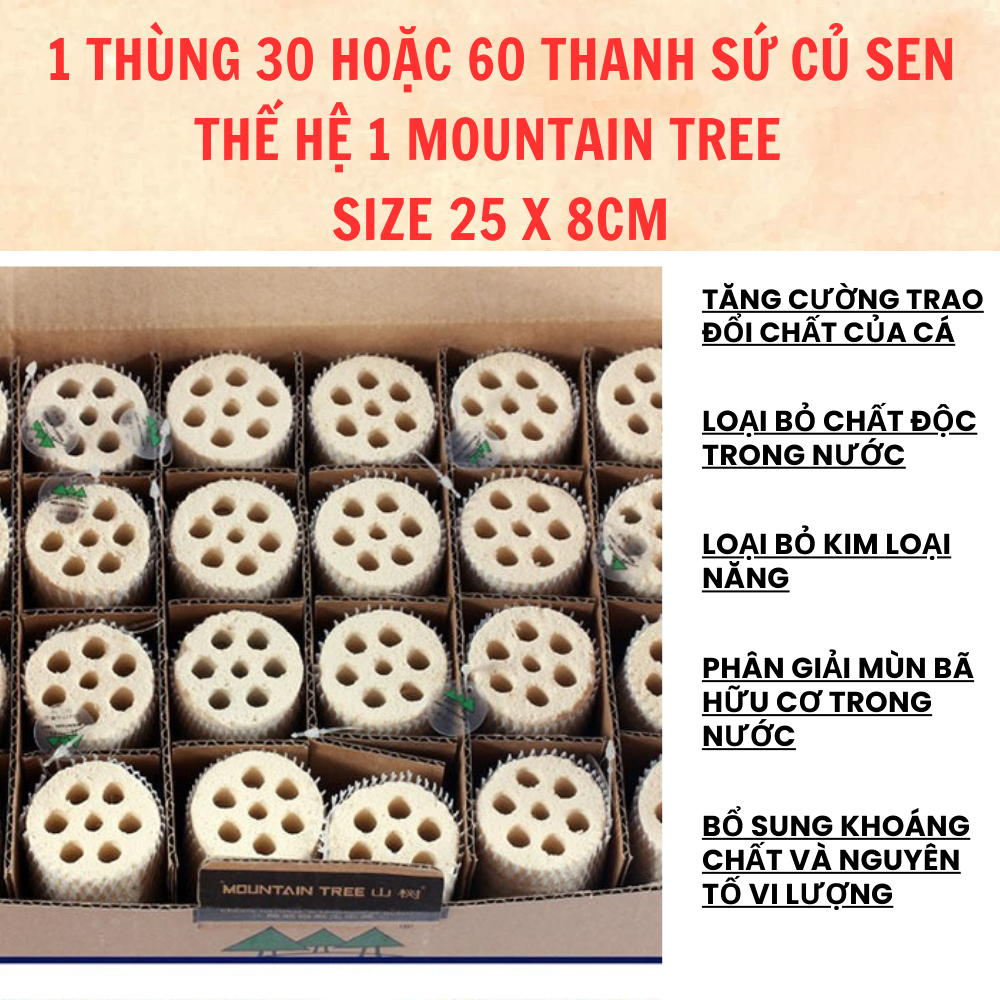 1 thùng Sứ củ sen moutain tree thế hệ 1 (60 thanh)