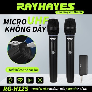 RayHayes RG-H12S Micro không dây cầm tay kép UHF Karaoke chuyên nghiệp cho