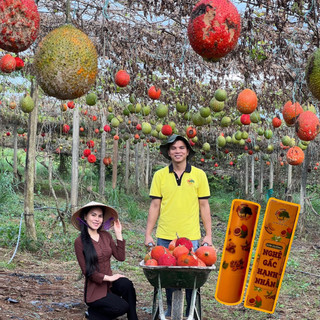 Son Dưỡng Gấc Hạnh Nhân Handmade