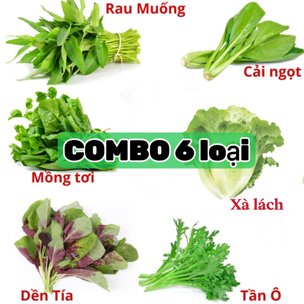 COMBO rau(muống 10 hạt/ M.tơi 10 hạt /dền 2gram/ xà lách 2gram /cải ngọt 2gram/ Tần ô 2gram)-Dễ trồn