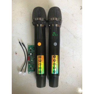 Mic ro 2 màn hình cao cấp cho loa kéo