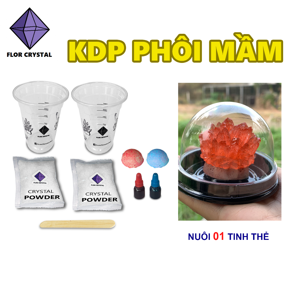 🍓KDP KH2PO4 phôi mầm bộ nuôi tinh thể KDP KH2PO4 (có hướng dẫn)_