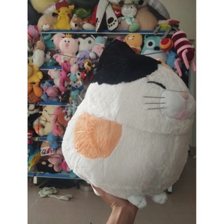 Gấu bông mèo  mini size 40-45cm
