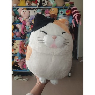 Gấu bông mèo  mini size 40-45cm