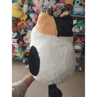 Gấu bông mèo  mini size 40-45cm