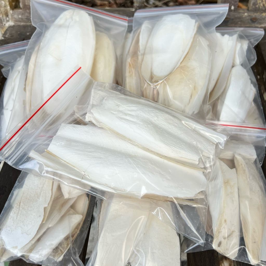 Mai Mực/Nang Mực Vụn Thức Ăn Bổ Sung Canxi, Mài Răng Cho Chim, Vẹt, Hamster, Gà Rutin, Sóc, Rùa, Nhí