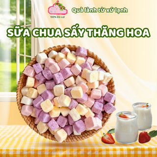 Sữa Chua Sấy Thăng Hoa Đà Lạt - Sữa Chua Khô Mix Trái Cây - Healthy Cho Bé Và Gia Đình - 100% ĐÀ LẠT