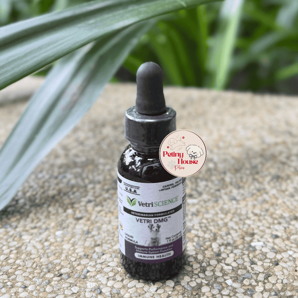 Siro Tăng Sức Đề Kháng Và Bổ Sung Hệ Miễn Dịch Dạng Lỏng Cho Chó Mèo Vetri-DMG By VetriScience