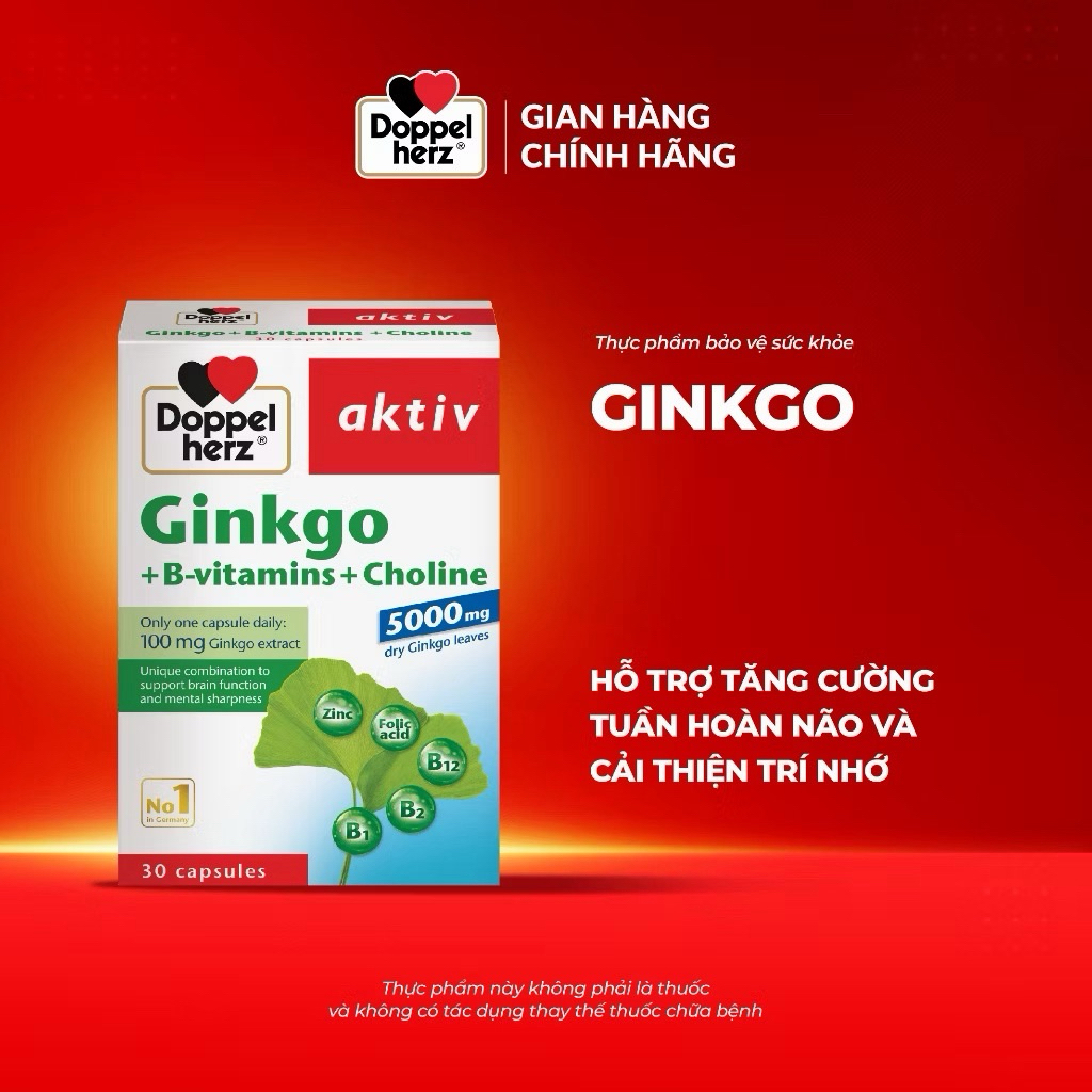TPBVSK Ginkgo + B-vitamins + Choline - Bổ não Doppelherz