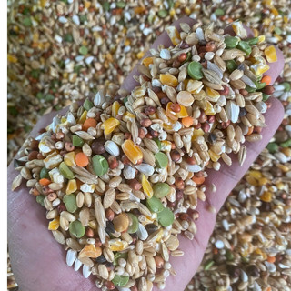 Ngũ Cốc Chiến Kê dành cho gà đá (1kg)