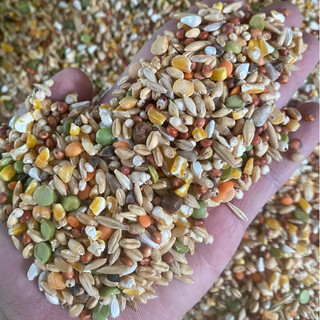 Ngũ Cốc Chiến Kê dành cho gà đá (1kg)