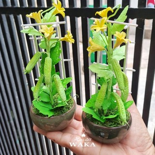 Hoa Đất Sét Mini- Giàn Mướp 15cm