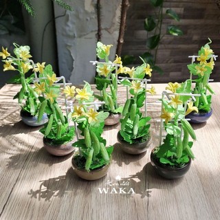 Hoa Đất Sét Mini- Giàn Mướp 15cm