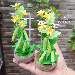 Hoa Đất Sét Mini- Giàn Mướp 15cm