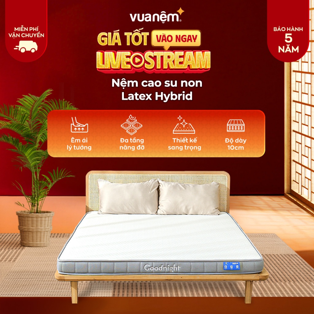 (2.2 Tặng ga chống thấm) Nệm cao su non Goodnight Latex Hybrid, foam kết hợp cao su cứng vừa, phù hợ