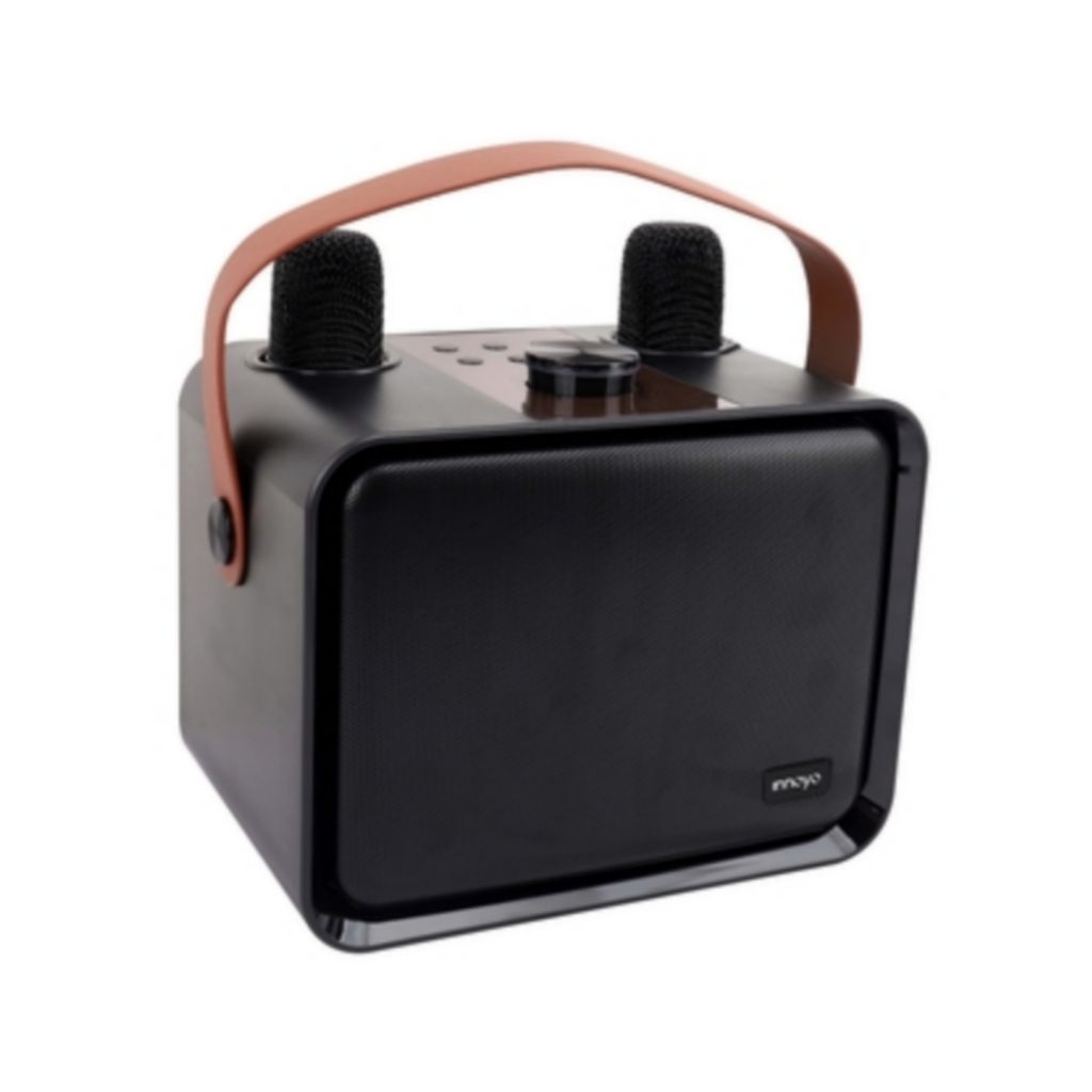 Loa Innoyo InnoSound S1