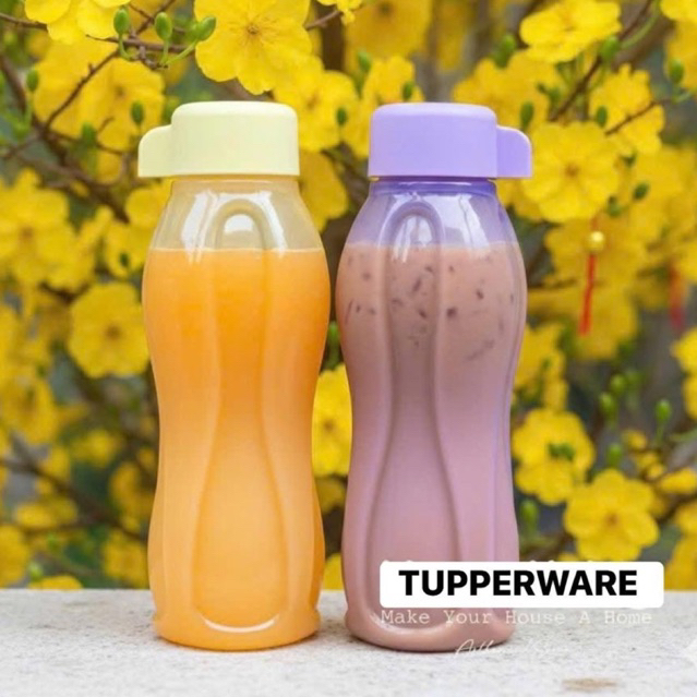 BÌNH NƯỚC ECO 310ML- 500ML TUPPERWARE NHỰA AN TOÀN BPA FREE THƯƠNG HIỆU NỔI TIẾNG THẾ GIỚI