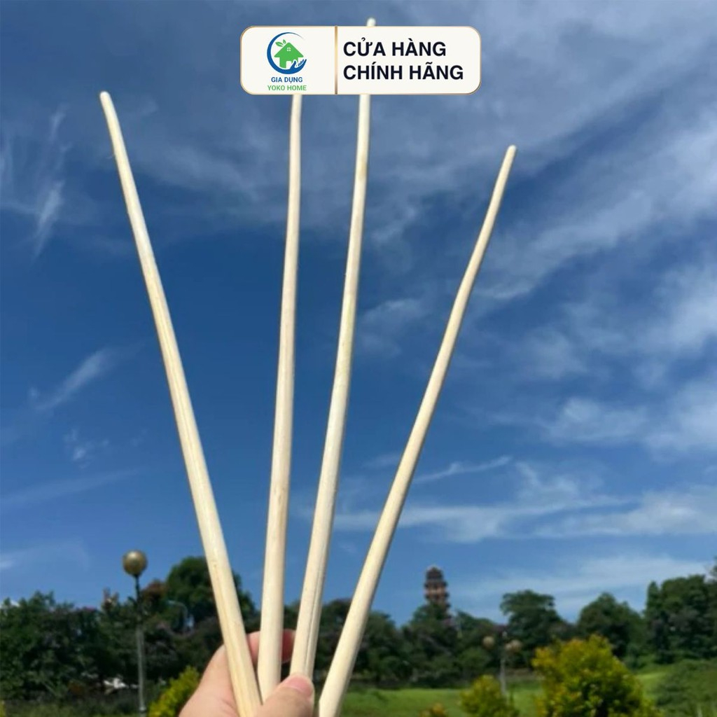 Cành cây roi mây tươi xanh dài 80cm roi mây dẻo dai đa công dụng, không gãy, không mối mọt - Gia Dụn