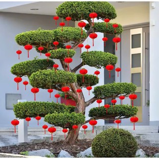 Gói 30 chiếc lồng đèn đỏ mini trang trí tết,Phụ kiện decor tết 2026 đèn lồng treo cây cảnh mini
