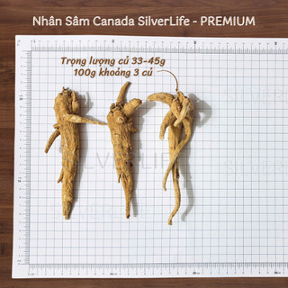 Nhân Sâm Canada SilverLife Nguyên Củ Premium | Nhân sâm Bắc Mỹ 5 tuổi loại to đặc biệt