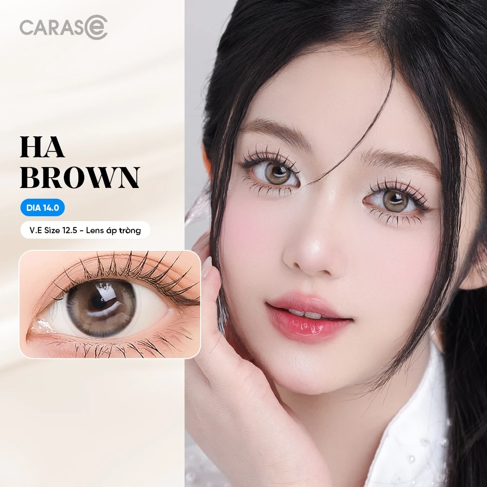[1 chiếc] Kính áp tròng khoá ẩm 1 Ngày Màu Nâu Sữa CARASE, Lens cận HA BROWN
