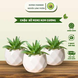 Chậu Sứ Trồng Cây Sen Đá, Xương Rồng Cẩm Trang Trí Để Bàn - NGƯỜI LÀM VƯỜN