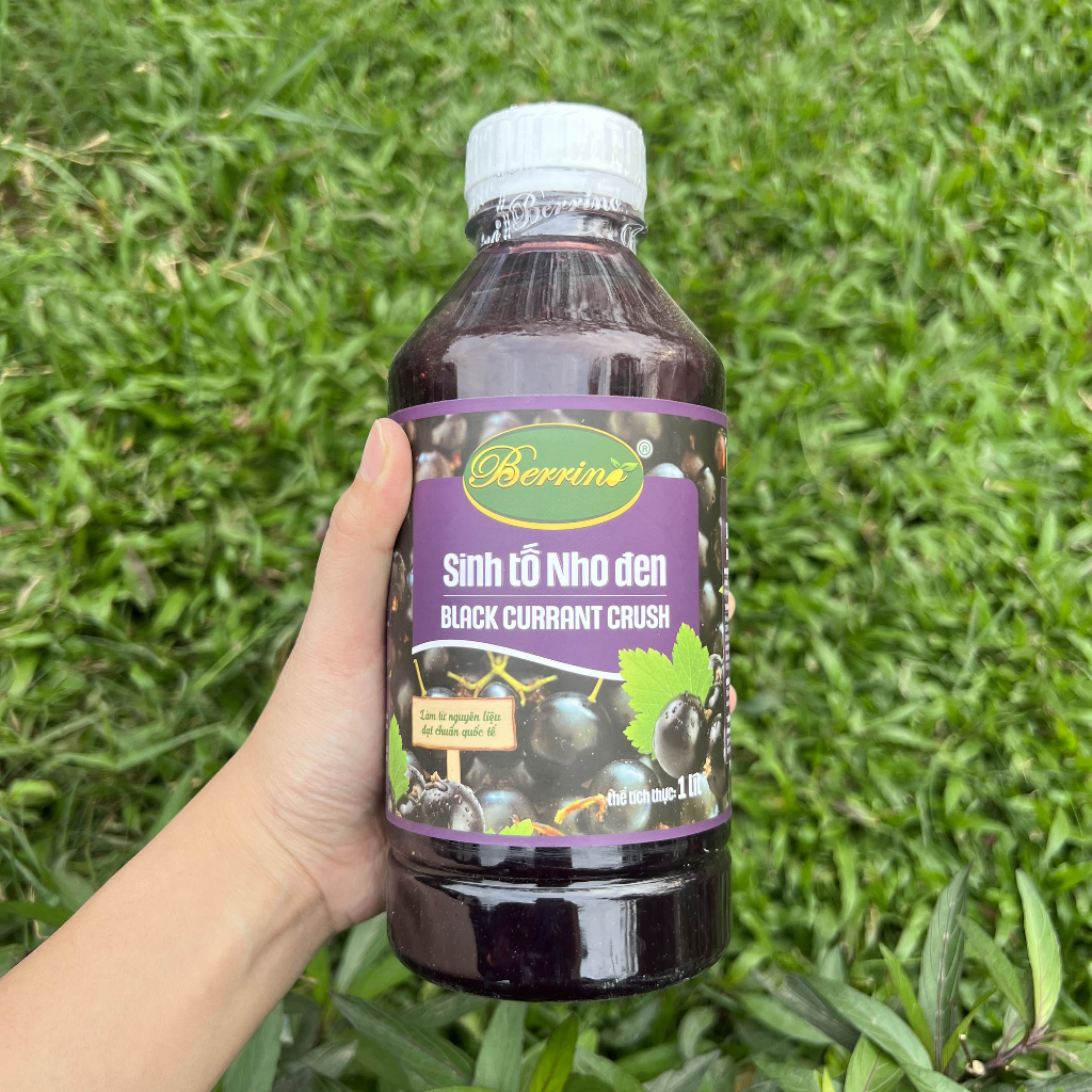Sinh Tố Berrino Nho Đen 1L – Puree Nho Đen Pha Chế Đồ Uống