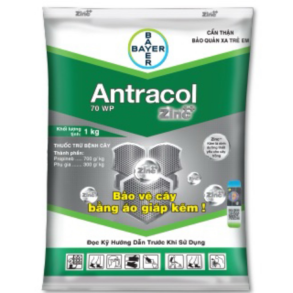 1KG Antracol 70WP Chính hãng Bayer- Phòng ngừa nấm bệnh, thán thư, tăng cường đề kháng cây trồng