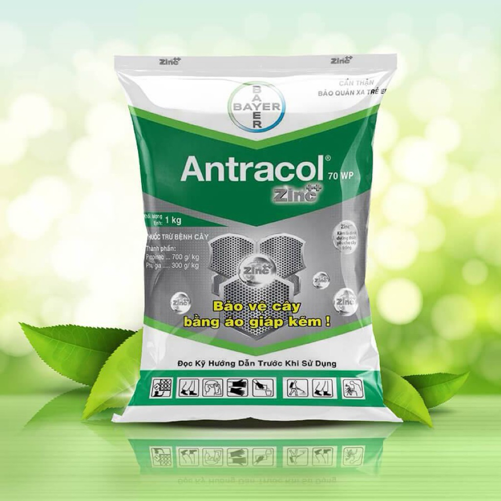 [Combo 5 gói] Antracol 70WP Chính hãng Bayer 100g- Phòng ngừa nấm bệnh, tăng cường đề kháng cây trồn