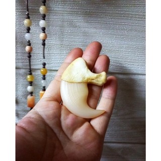 Móng vuốt cọp nhân tạo 6.2cm