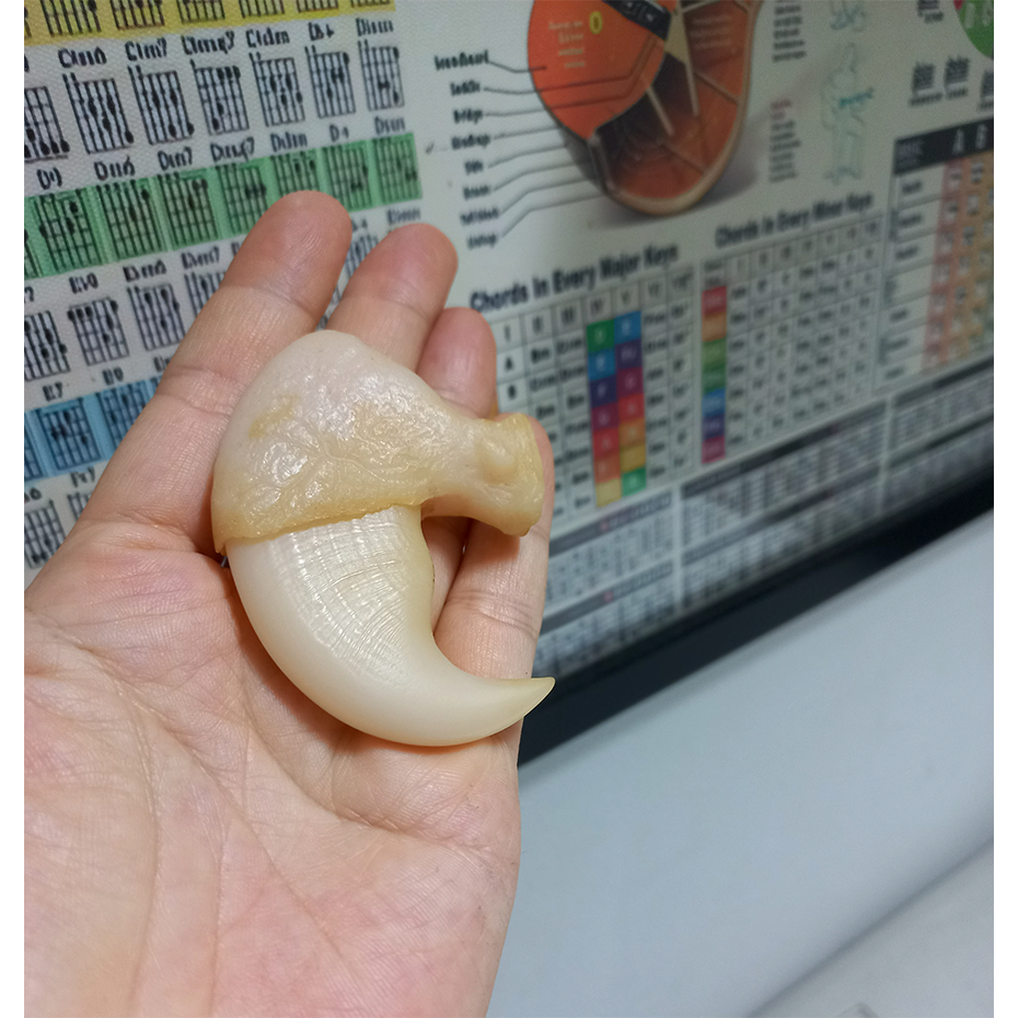 Móng vuốt cọp nhân tạo 6.2cm